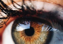 Excellent Article About Eye Care That You Should Try