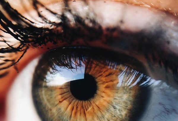 Excellent Article About Eye Care That You Should Try